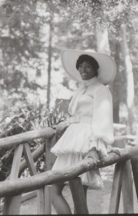 browngyalwriting:Soft is strong, is beautiful.Promotional photoshoot for the “Dionne Warwick: 