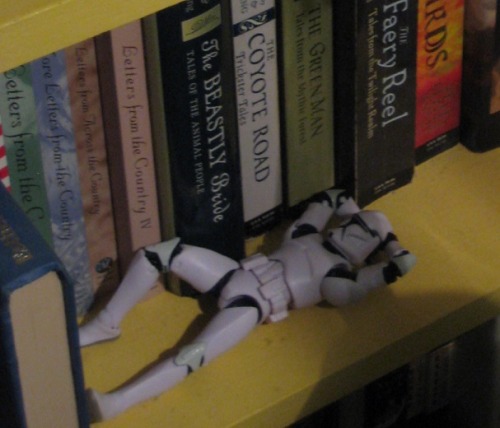 dakt37: @dragonfishdreams said:  Dakt, I have a tiny shiny occupying my bookshelf, you’re