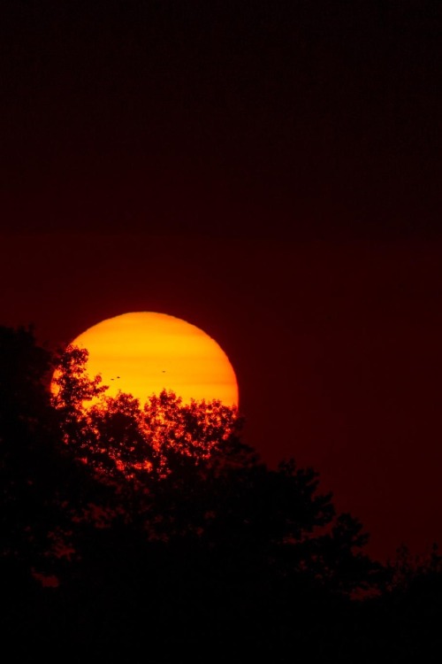 XXX 0ce4n-g0d:  Orange Ball by Ray Hennessy photo