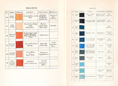 itscolossal: Werner’s Nomenclature of Colours: a Pre-Photographic Guide for Artists and Natura