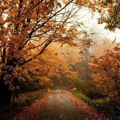 Happy October!!!