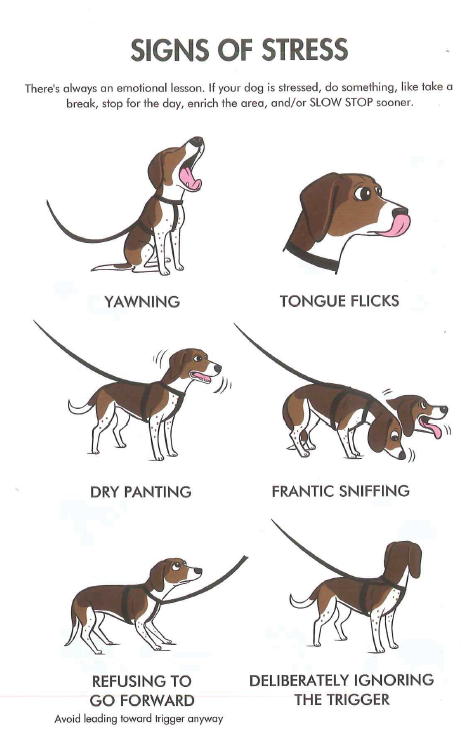 bush-dogs: In the middle of the BAT 2.0 book are these colourful summary printouts of various chapte