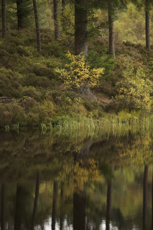 kylebonallo:Lochan a’ Ghleannain, by Kyle Bonallo (instagram)