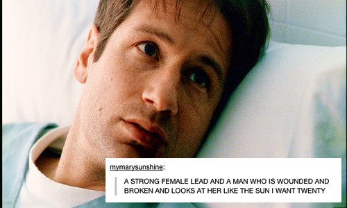 damnthesevampires:the x files + tumblr posts