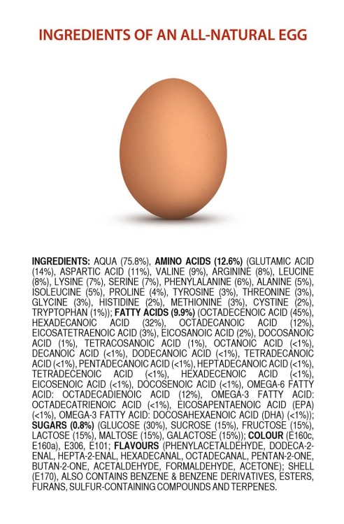 thickerandthicker:  Chemical compositions of common “natural” food.