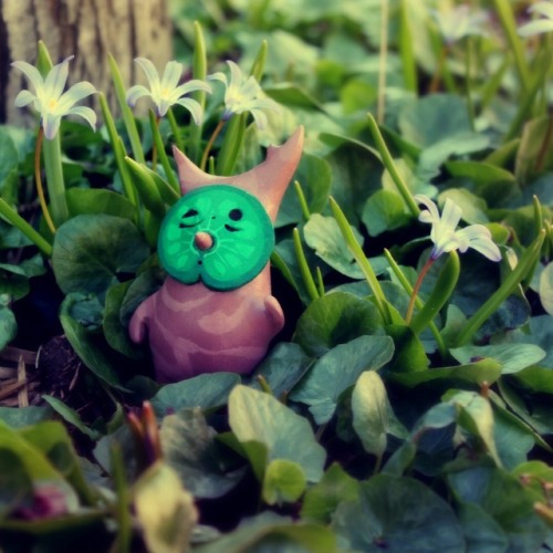 chriscyr:The full photoset of koroks I made for Z, off on adventures, planting trees, and braving th