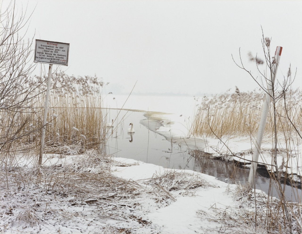umbrellavein:  Brian RoseNear Ratzeburg, West Germany1987