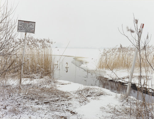 umbrellavein:  Brian RoseNear Ratzeburg, West Germany1987