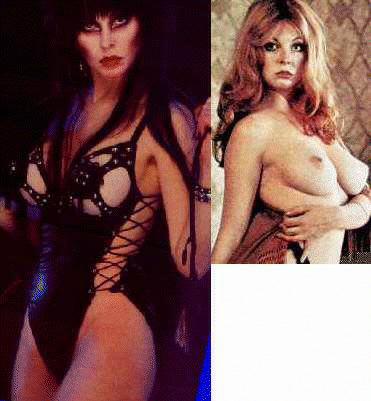 shestolemyheartandmycat:  Casandra Peterson, affectionately known as Elvira Mistress