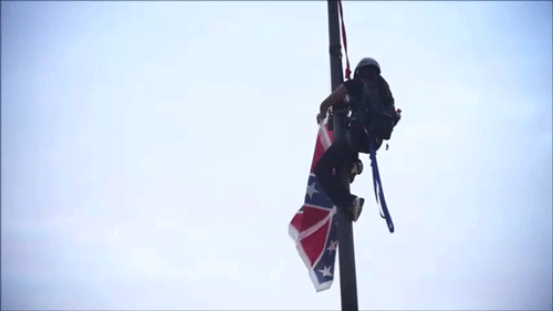 h0m0:  northgang:    Bree Newsome takes down the Confederate Battle Flag at the South Carolina State Capitol [x]   Sign here to help drop charges against Bree Newsome and the courageous organizer arrested for taking down the Confederate flag at South