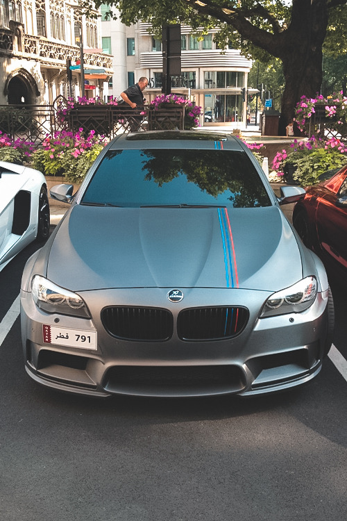 seemzy:  Hamann. 
