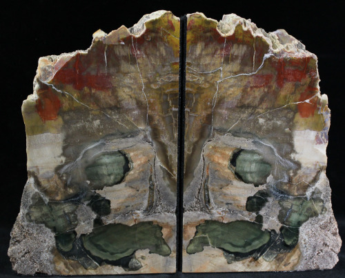 This is a pair of bookends made from richly colored, 220 million year old petrified wood (Araucaria)