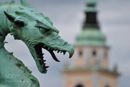 stephanocardona: Ljubljana, Slovenia by denisblemos