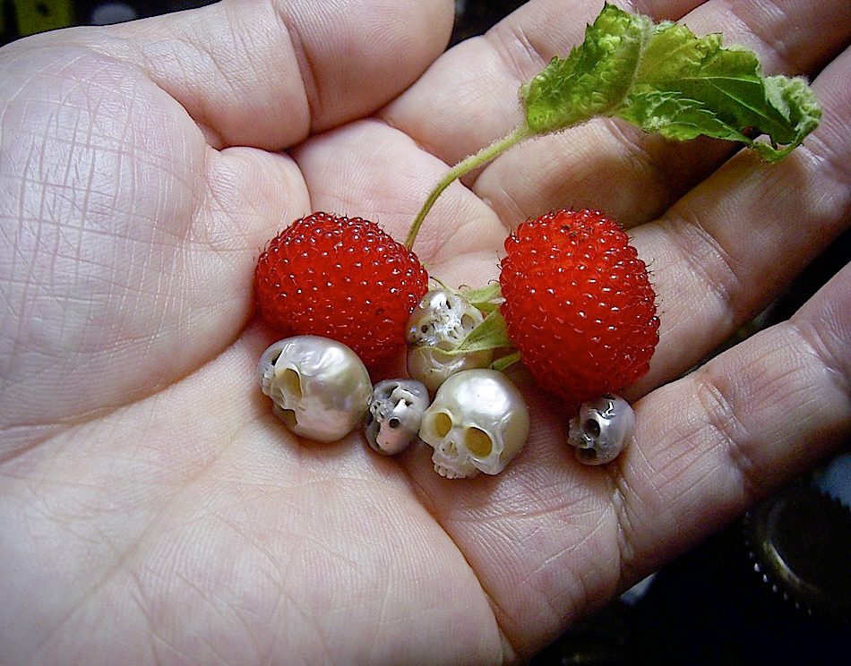 culturenlifestyle:  Japanese Artist Carves Stunning Skull Sculptures and Miniature Jewelry From Pearls