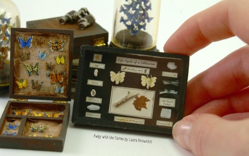 Entomology CollectionAway with the Fairies by Laura Brownhillwww.etsy.com/uk/shop/CountryTre