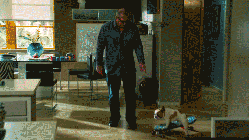 modernfamily-abc: Have you ever seen anything cuter in your entire life?! #ModernFamily