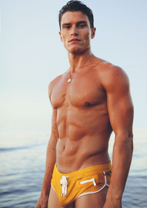 Speedo Dreaming