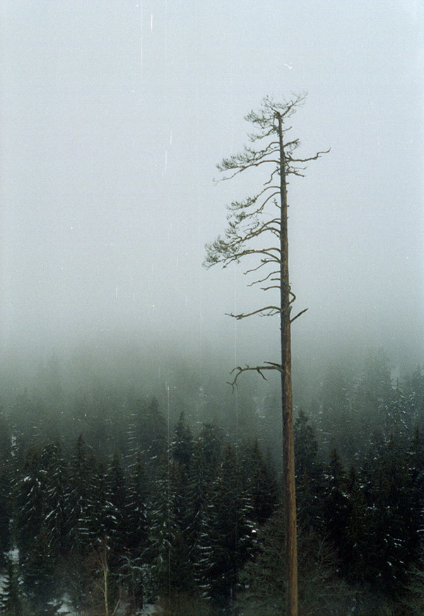 earthssurface:  (by .sxf) 