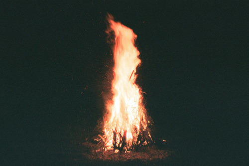 brutalgeneration:  Tumblr on We Heart It. http://weheartit.com/entry/66557951