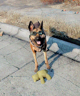 nickvalentine: Giving Dogmeat a teddy bear