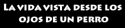 finofilipino:La vida vista desde los ojos de un perro.Original en inglés.