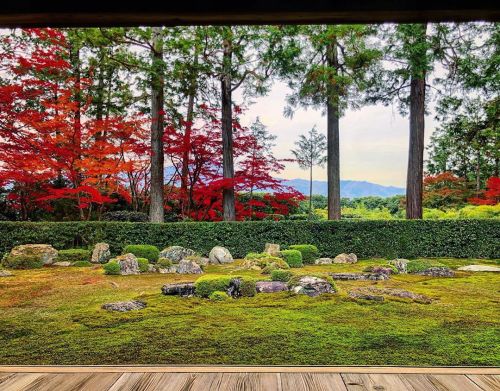 ＼おにわさん更新情報／ ‪[ 京都市左京区 ] 圓通寺庭園 Entsu-ji Temple Garden, Kyoto の写真・記事を更新しました。 ーー #後水尾天皇 （上皇）が『修学院離宮』の前に
