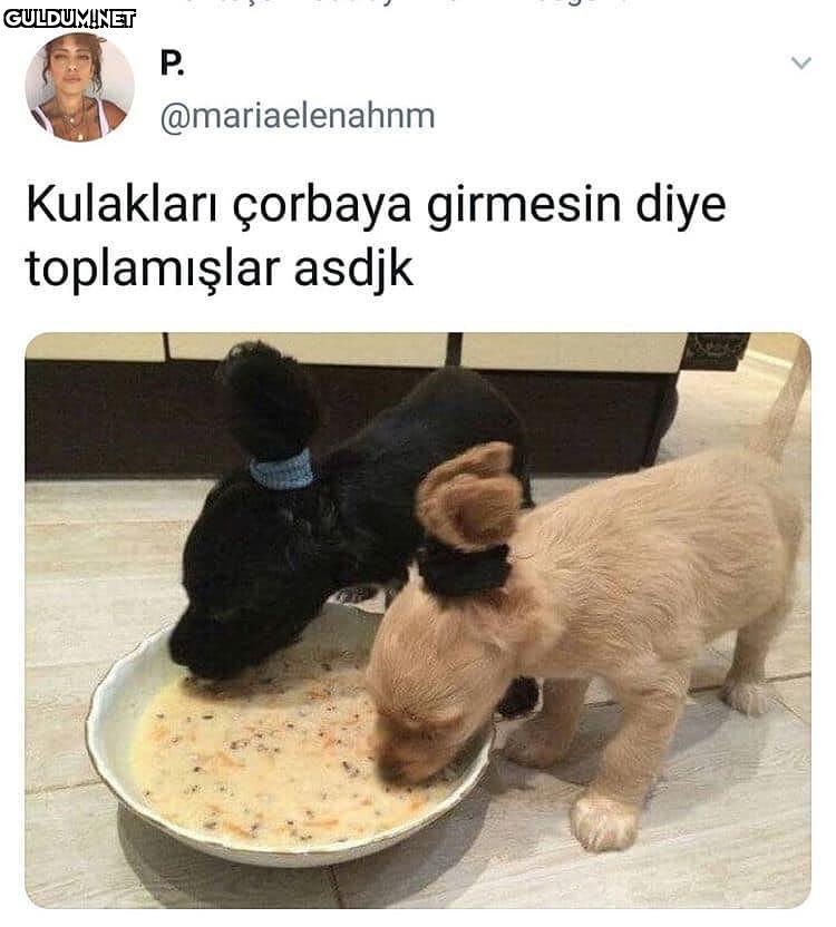 Kulakları çorbaya girmesin...