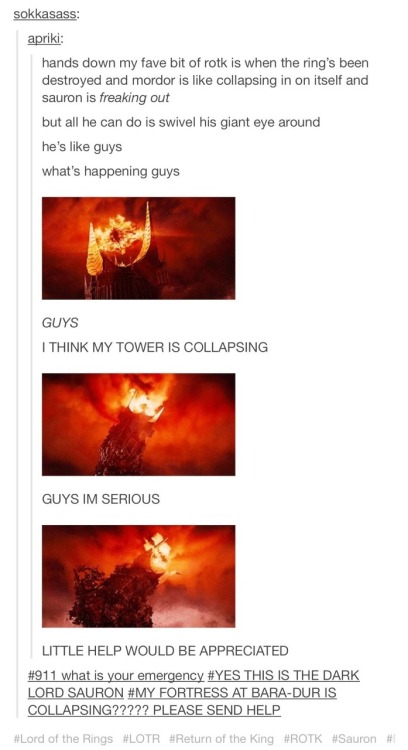 the-lostsister-ofmischief:  This is why I love the LotR fandom. 