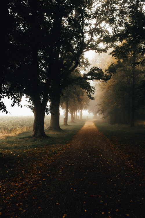 capturingmoonbeams:Nature is my temple, walking is my sacred practice.my ig