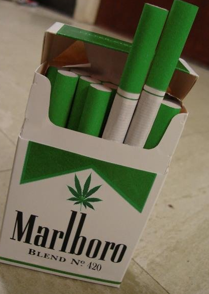 The Cannabis Queen