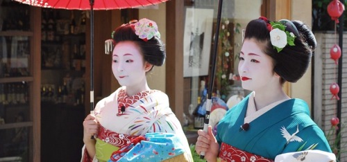 This usumono coordinate owned by Tsurui okiya (Gion Kobu) is for senior maiko, and has been worn by 