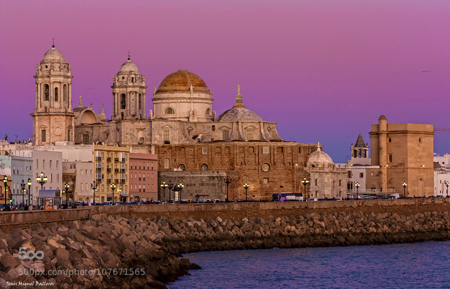 random-photos-x:  Catedral de Cadiz by JesusMiguelBalleros. (http://ift.tt/1ciWgEv)