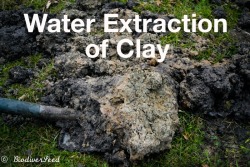 biodiverseed:In digging swales, I have had several points of contact with the clay subsoil layer. I’ve started doing a little bit of clay processing every day: I followed lessons about sediment from the third grade, and this tutorial. My goal is to