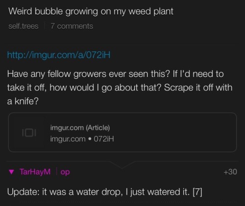 haiku-robot:  dancegavindance: r/trees is just about what you would expect a weed subreddit to be  r/trees is just about what you would expect a weed subreddit to be ^Haiku^bot^0.5. I detect haikus with 5-7-5 format. Sometimes I make mistakes. | Who do