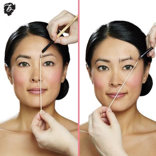 Eyebrow Beauty Infographics from Nova & Knox