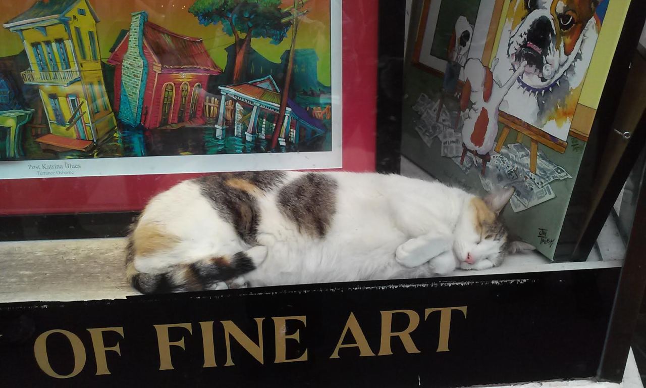 weliveinforever:I was in the French Quarter and I found art. 