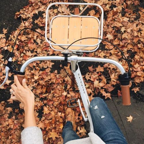 grayskymorning: Sylvia Tribel