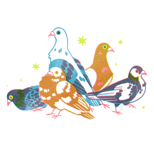 so many pretty pigeons to see✨Etsy • IG