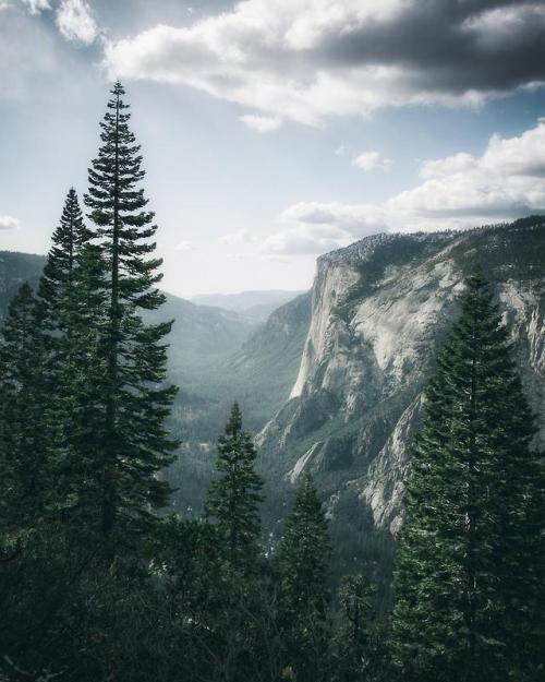 jbeckham44:Yosemite National Park [OC] 4025x5031 via /r/EarthPorn ift.tt/2PddPtq