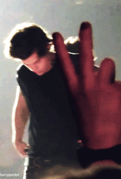Harry in the second to last gif