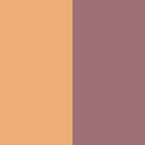 colorandcolor:  color and color 20535 - #ecae76 and #a07077