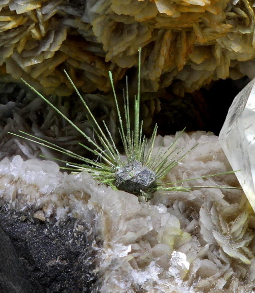 Millerite, Quartz, Galena and Ankerite - Windsor Colliery, Abertridwr, Glamorgan, WalesIronstone nod