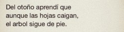 Vales más de lo que piensas.