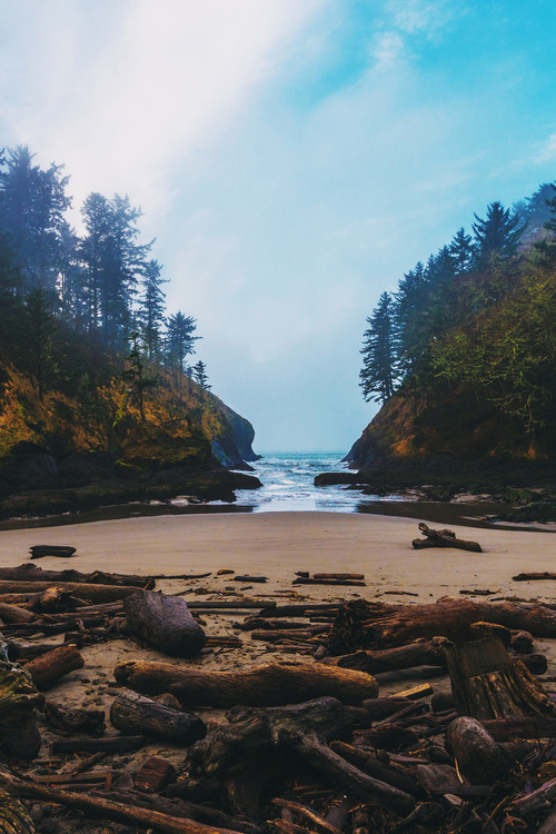theencompassingworld:  travelgurus:                             Dead Man’s Cove, Washington                  Travel Gurus - Follow for more Nature Photographies!     The World Around Us