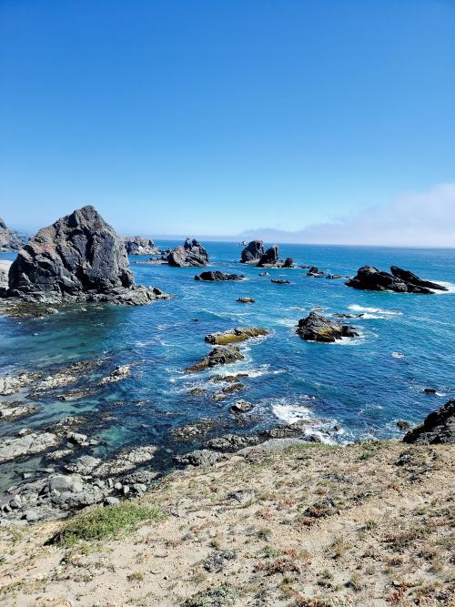 amazinglybeautifulphotography: Brookings, Oregon (OC) 3000x3000 - Author: Half_burnt_skunk on reddit