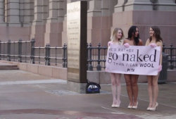 Nudiarist2:What’s It Like To Bare It All For Peta? Let These Naked Activists Explain