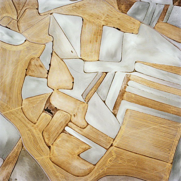 nevver:  Pattern recognition