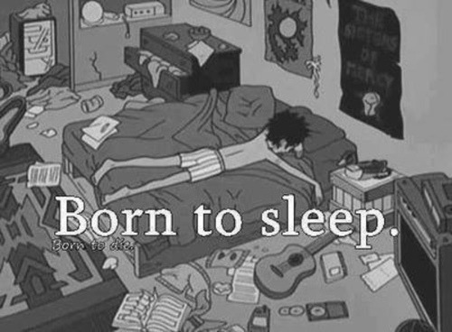Designated Dreamer