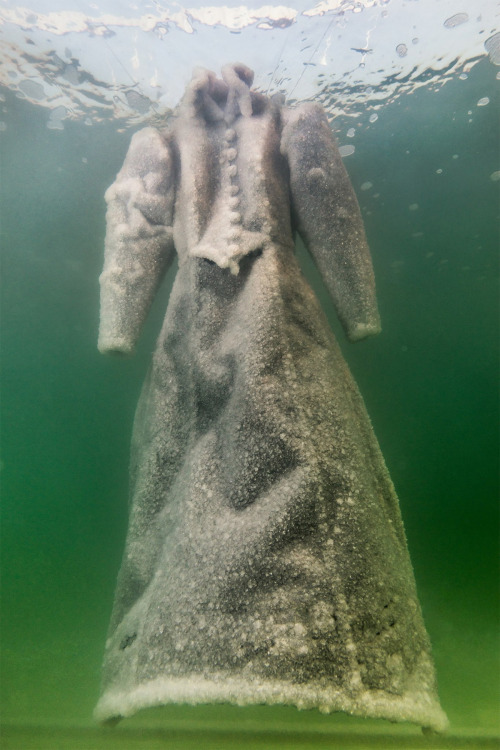 itscolossal:A 19th Century Dress Submerged in the Dead Sea Becomes Gradually Crystallized with Salt