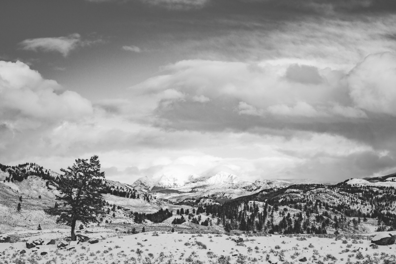 arthurchang:  Winter Life Big Sky, MT and Yellowstone National park // Sony RX1r